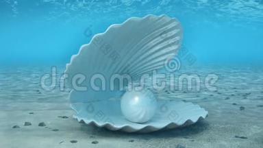 珍珠在贝壳里。 海底贝壳里美丽的珍珠。 阳光从上面照射到深处